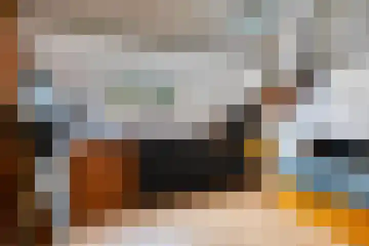 Barisakker 106 Nuenen thumbnail 33