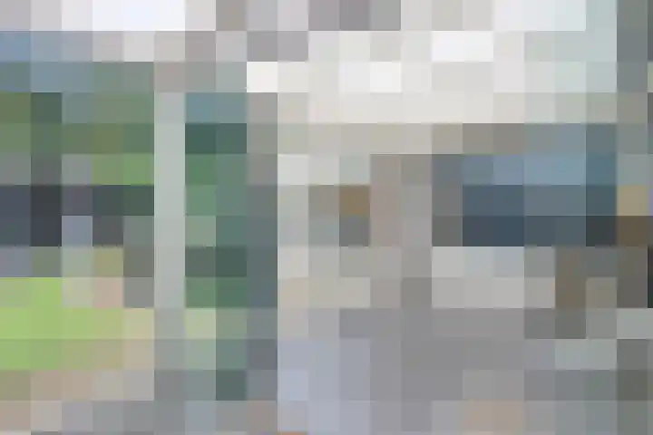 Barisakker 106 Nuenen thumbnail 34