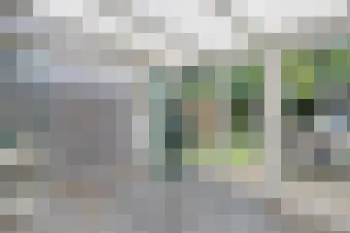 Barisakker 106 Nuenen thumbnail 35