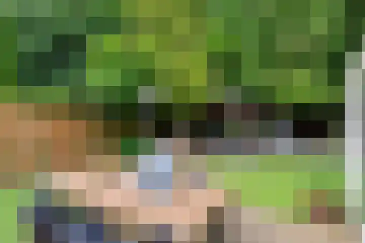 Barisakker 106 Nuenen thumbnail 37