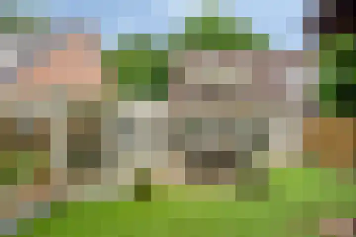 Barisakker 106 Nuenen thumbnail 39