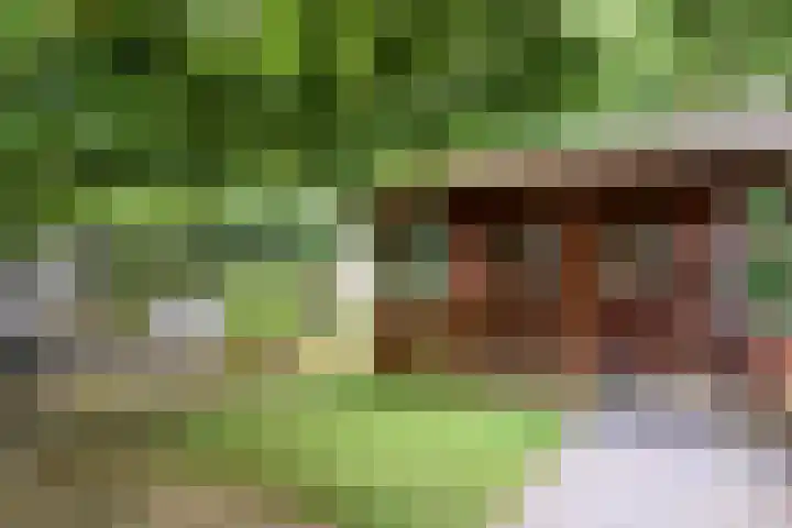 Barisakker 106 Nuenen thumbnail 39