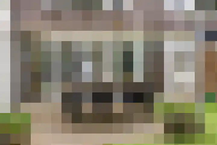 Barisakker 106 Nuenen thumbnail 40