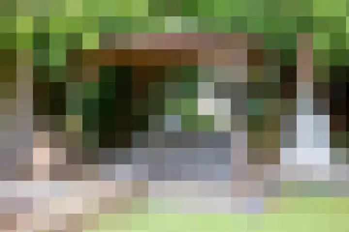 Barisakker 106 Nuenen thumbnail 41
