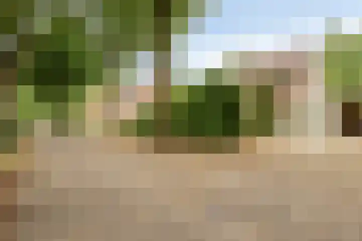 Barisakker 106 Nuenen thumbnail 42