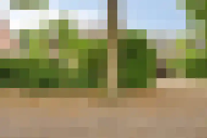 Barisakker 106 Nuenen thumbnail 43