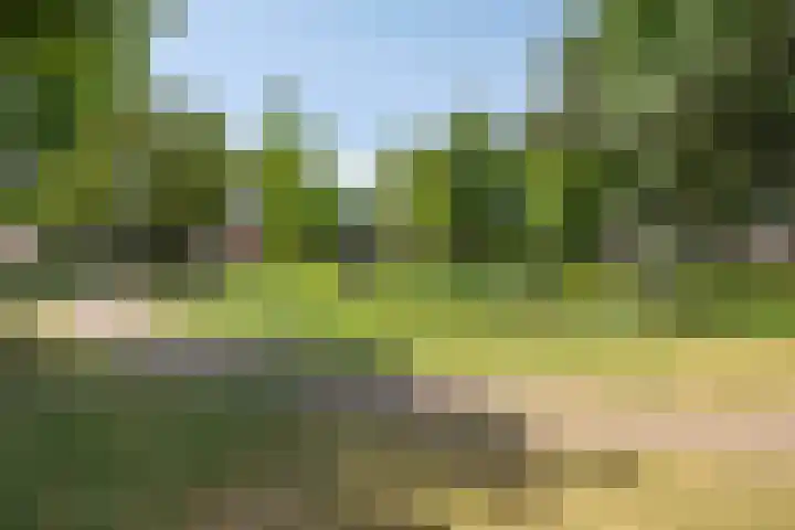 Barisakker 106 Nuenen thumbnail 44