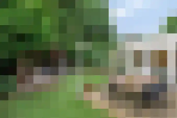 Barisakker 106 Nuenen thumbnail 5