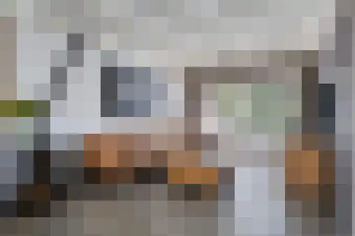 Barisakker 106 Nuenen thumbnail 8