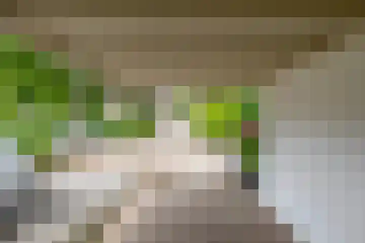 Barisakker 12 Nuenen thumbnail 10