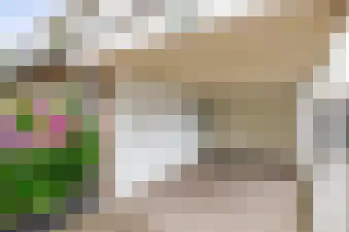 Barisakker 12 Nuenen thumbnail 11