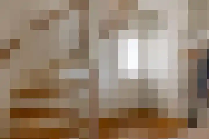 Barisakker 12 Nuenen thumbnail 12