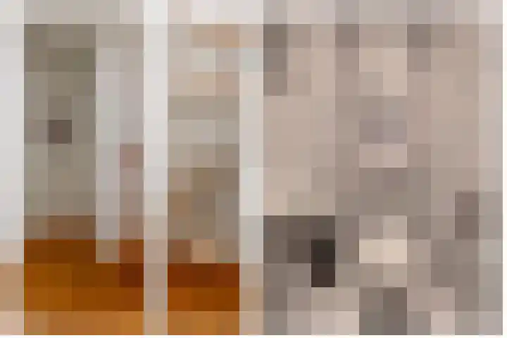 Barisakker 12 Nuenen thumbnail 13