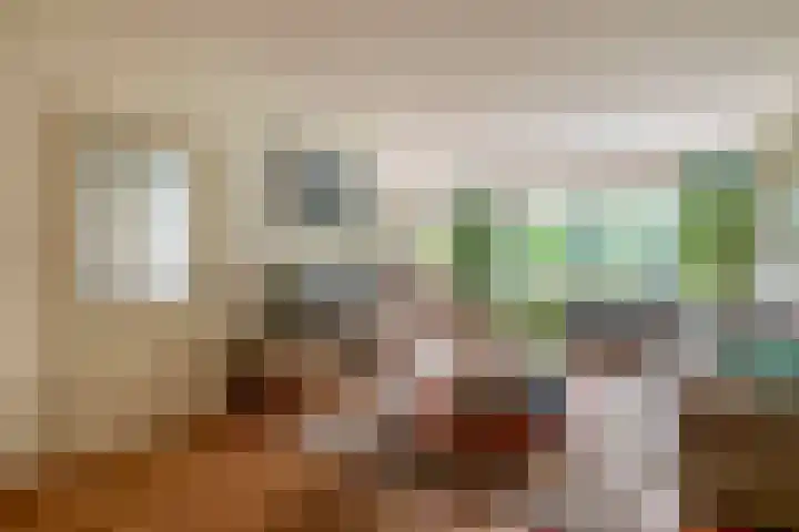 Barisakker 12 Nuenen thumbnail 15