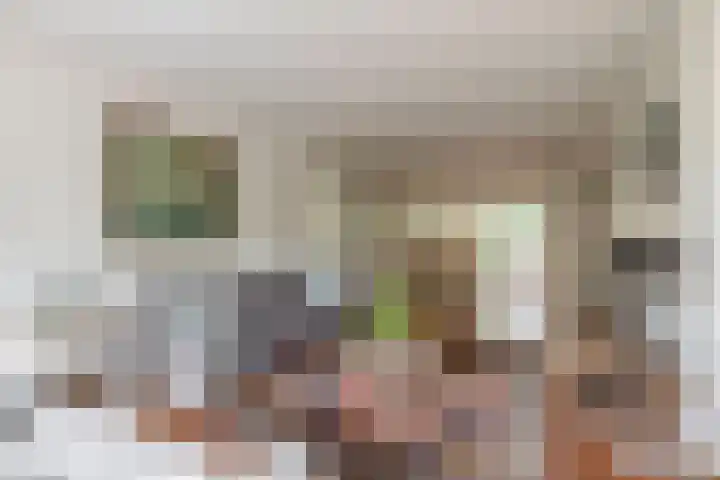 Barisakker 12 Nuenen thumbnail 16
