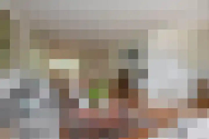 Barisakker 12 Nuenen thumbnail 17