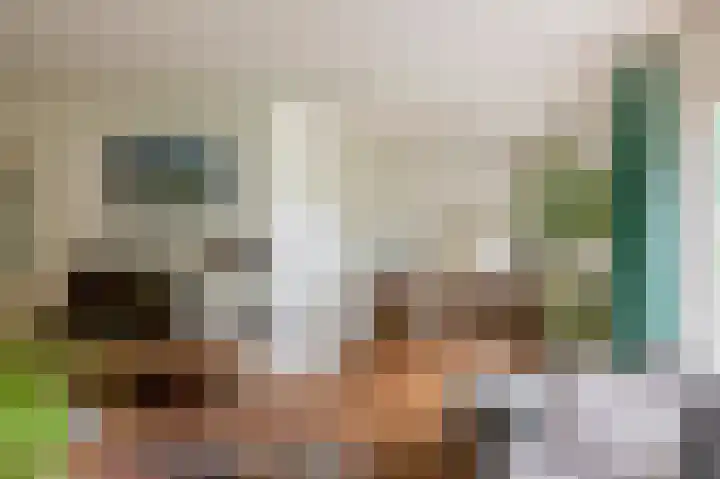 Barisakker 12 Nuenen thumbnail 18