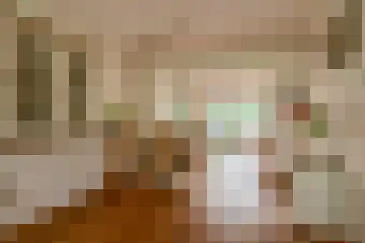 Barisakker 12 Nuenen thumbnail 19