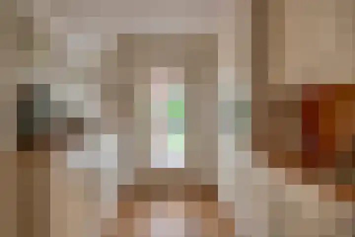 Barisakker 12 Nuenen thumbnail 21