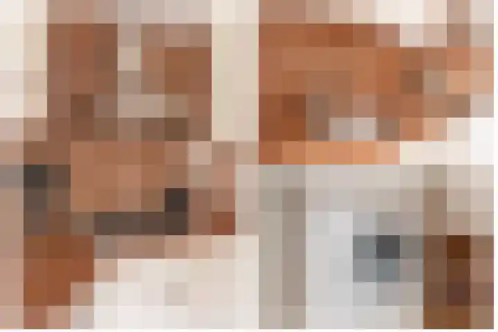 Barisakker 12 Nuenen thumbnail 22