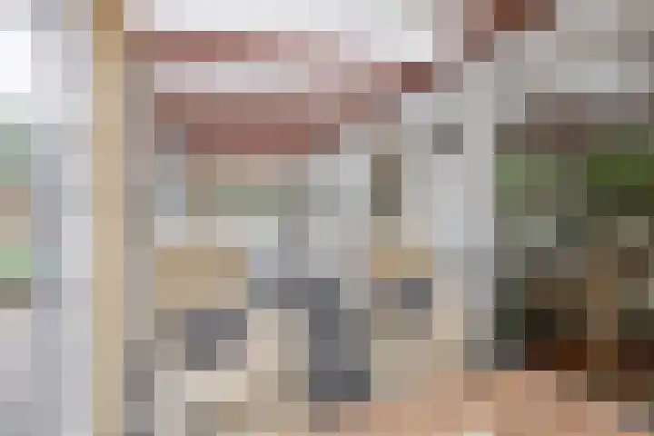 Barisakker 12 Nuenen thumbnail 27