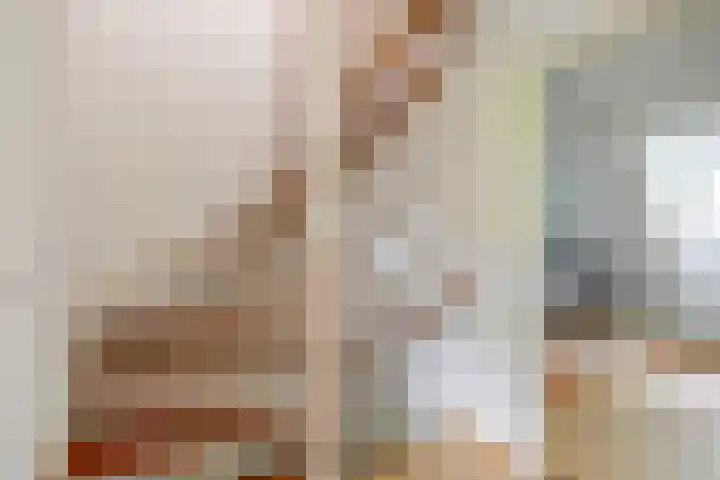 Barisakker 12 Nuenen thumbnail 30
