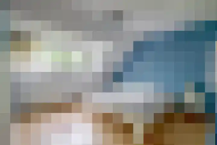 Barisakker 12 Nuenen thumbnail 32