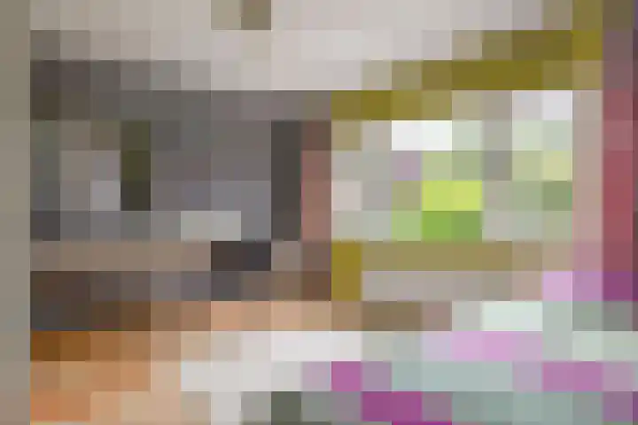 Barisakker 12 Nuenen thumbnail 34