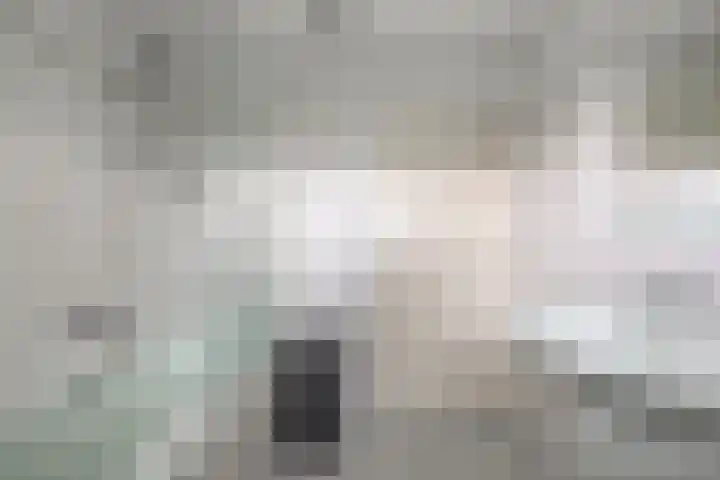 Barisakker 12 Nuenen thumbnail 37