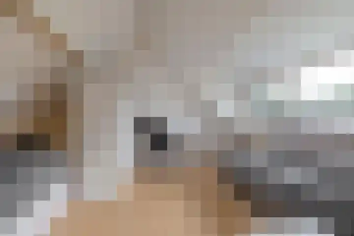 Barisakker 12 Nuenen thumbnail 39