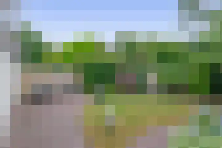 Barisakker 12 Nuenen thumbnail 40
