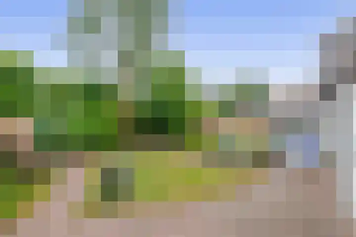 Barisakker 12 Nuenen thumbnail 41