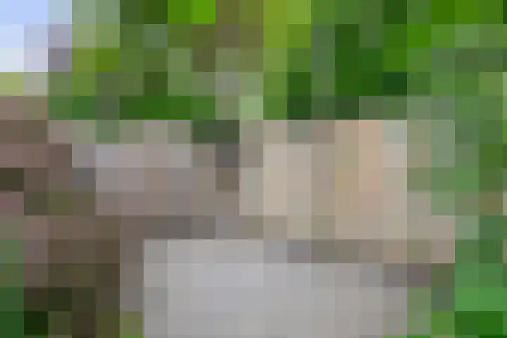 Barisakker 12 Nuenen thumbnail 42