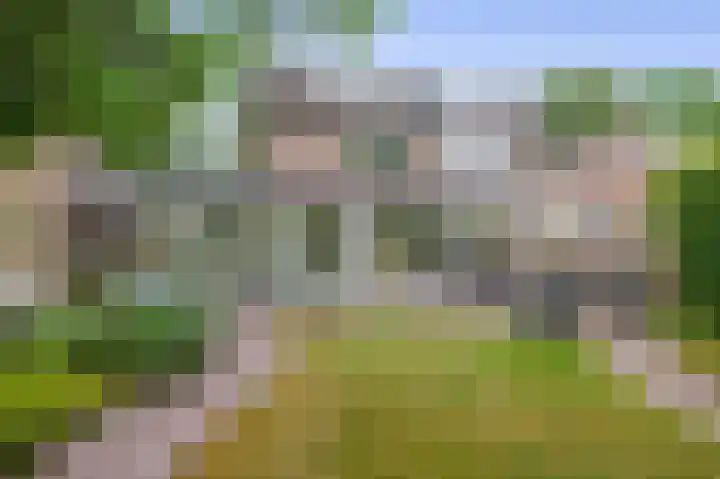 Barisakker 12 Nuenen thumbnail 43