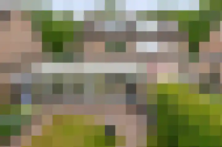 Barisakker 12 Nuenen thumbnail 44