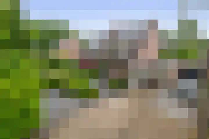 Barisakker 12 Nuenen thumbnail 53