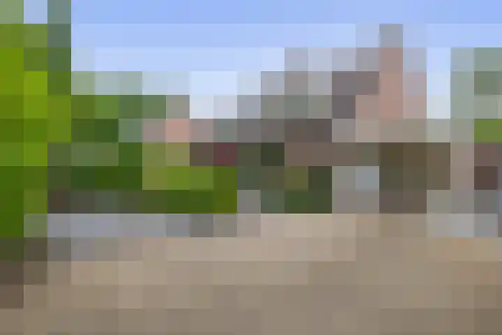 Barisakker 12 Nuenen thumbnail 6