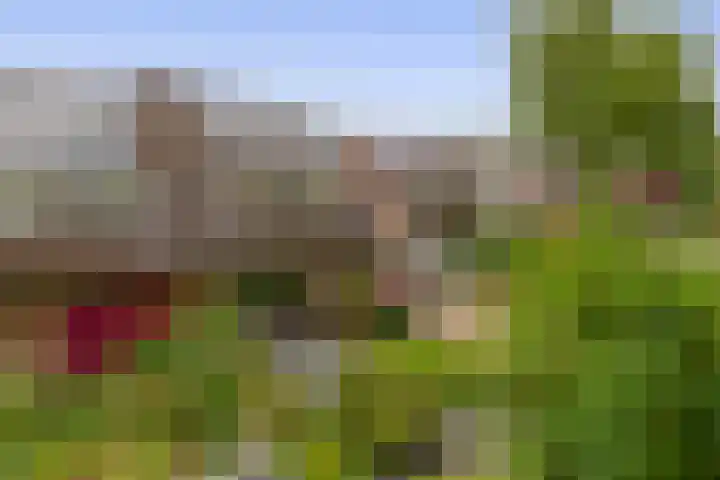 Barisakker 12 Nuenen thumbnail 8