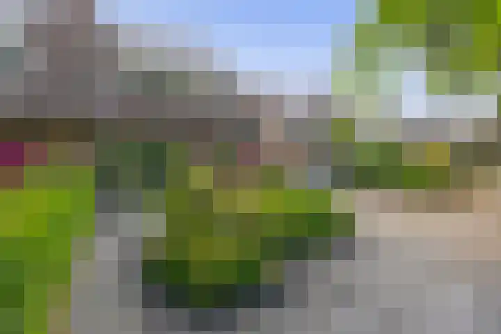 Barisakker 12 Nuenen thumbnail 9