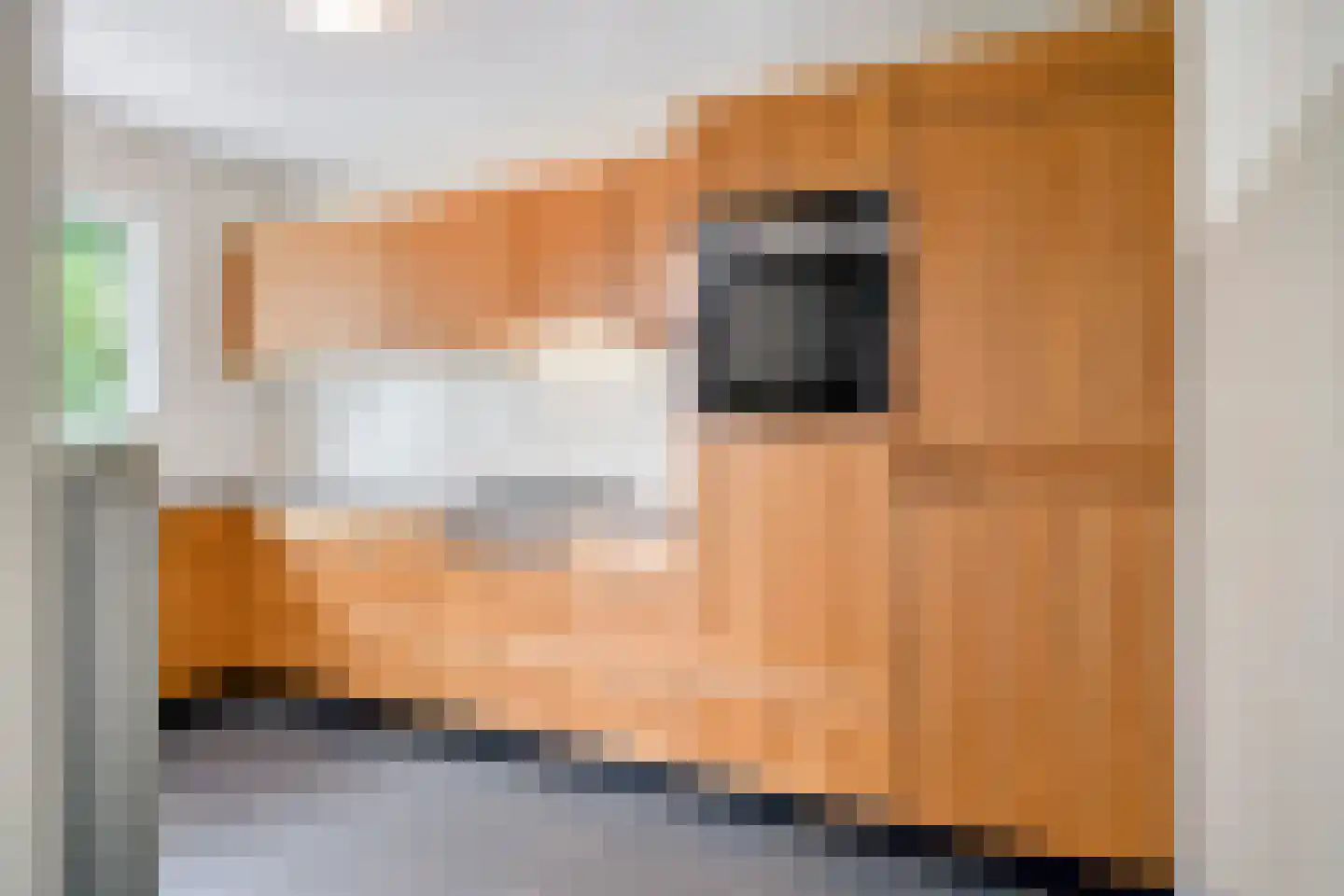 Barisakker 62 Nuenen thumbnail 10