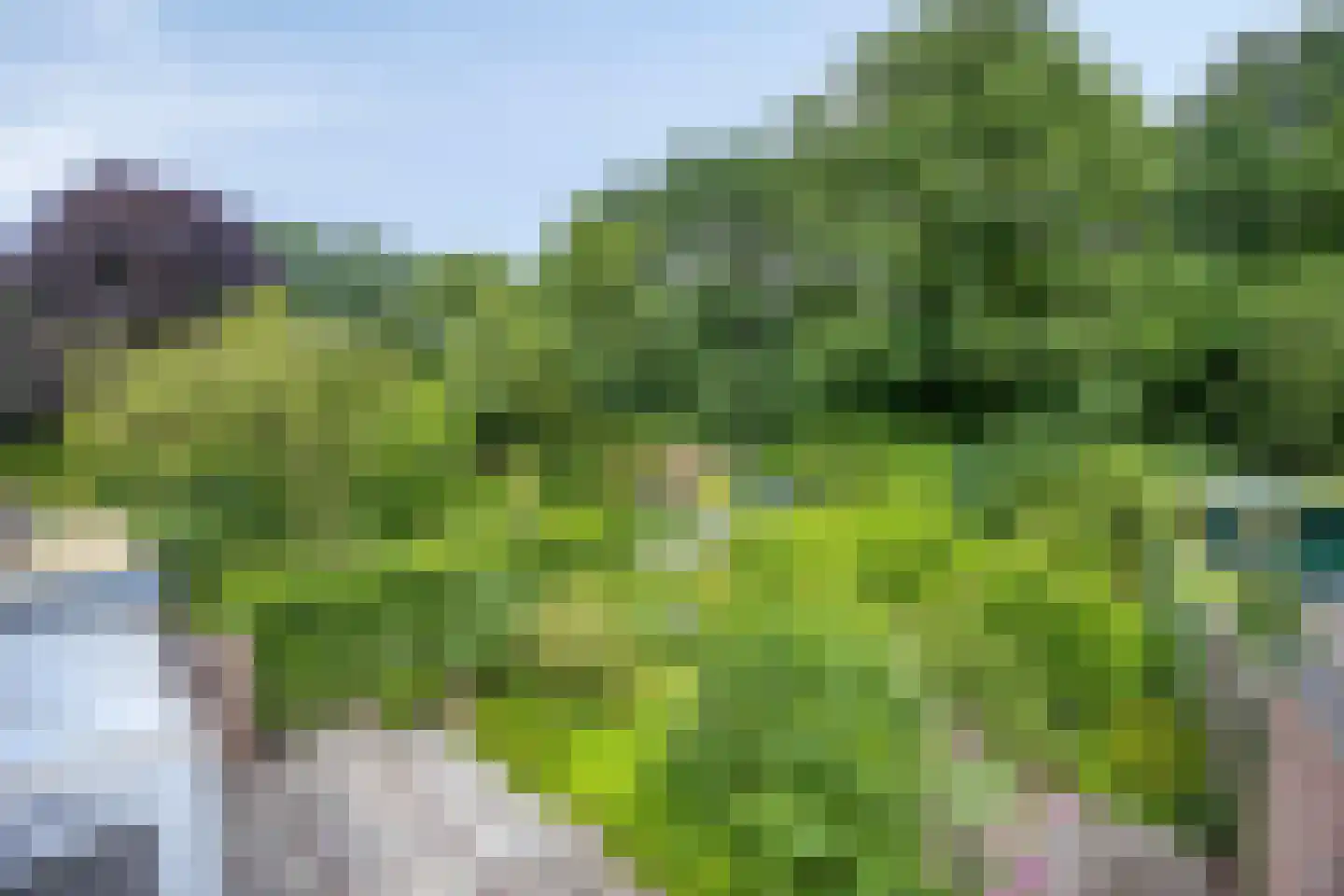 Barisakker 62 Nuenen thumbnail 24