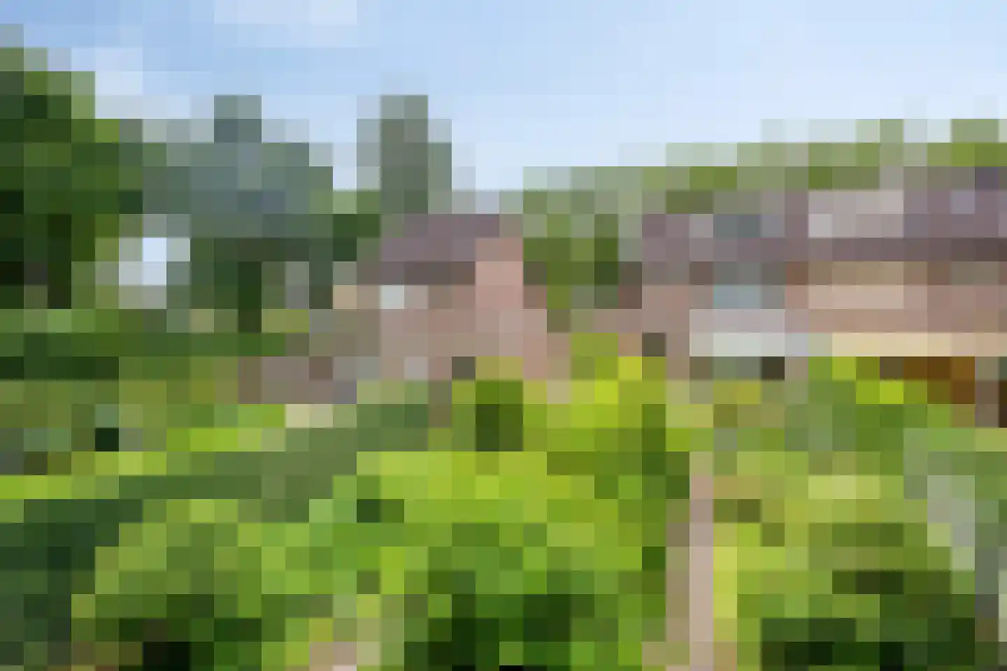 Barisakker 62 Nuenen thumbnail 25