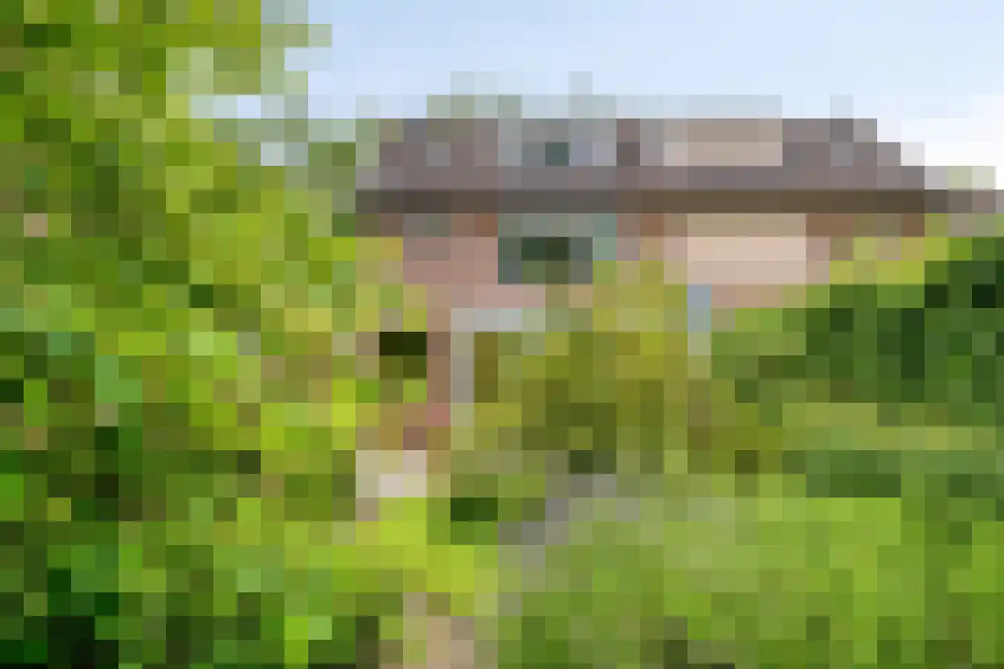 Barisakker 62 Nuenen thumbnail 26