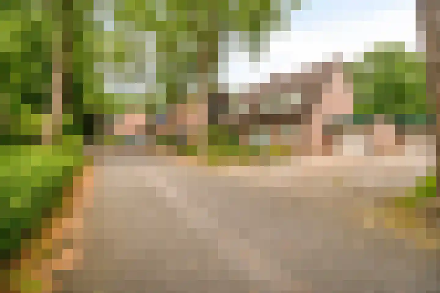 Barisakker 62 Nuenen thumbnail 27