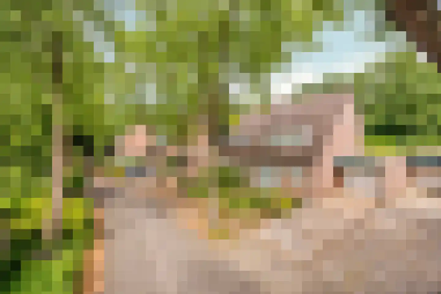 Barisakker 62 Nuenen thumbnail 29