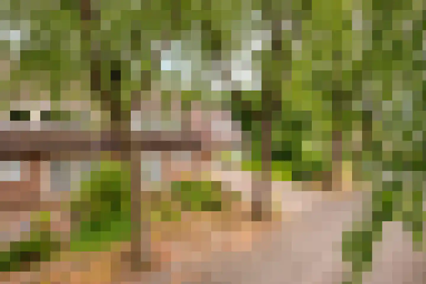 Barisakker 62 Nuenen thumbnail 30