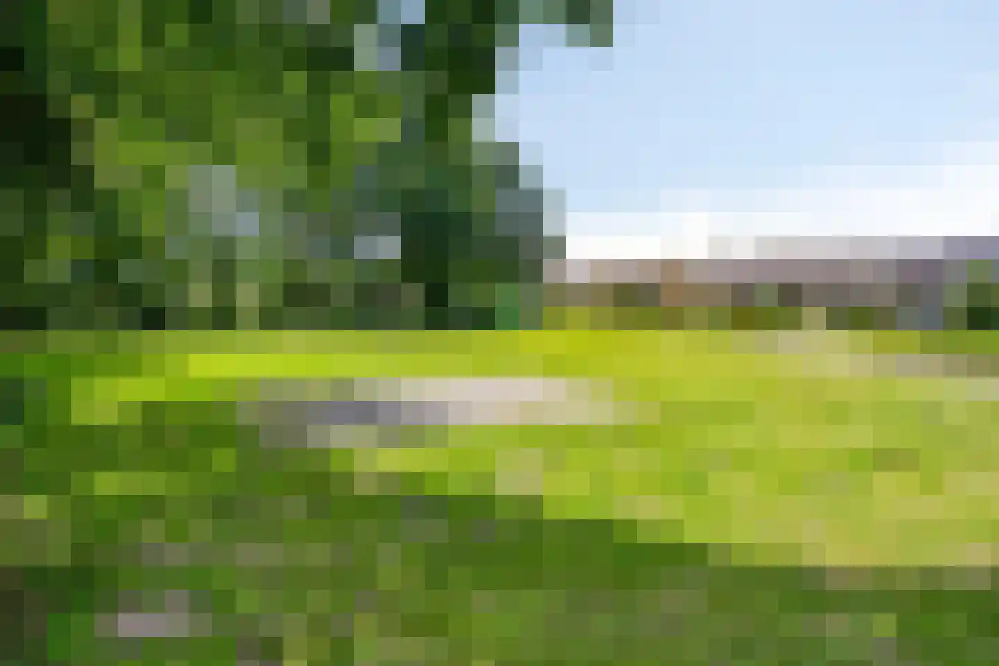 Barisakker 62 Nuenen thumbnail 31