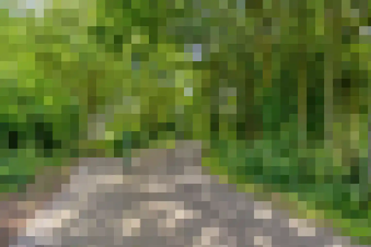 Barisakker 62 Nuenen thumbnail 32