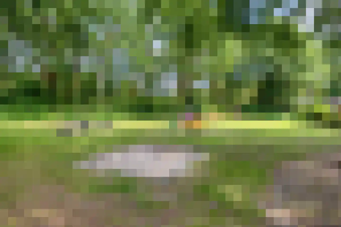 Barisakker 62 Nuenen thumbnail 33