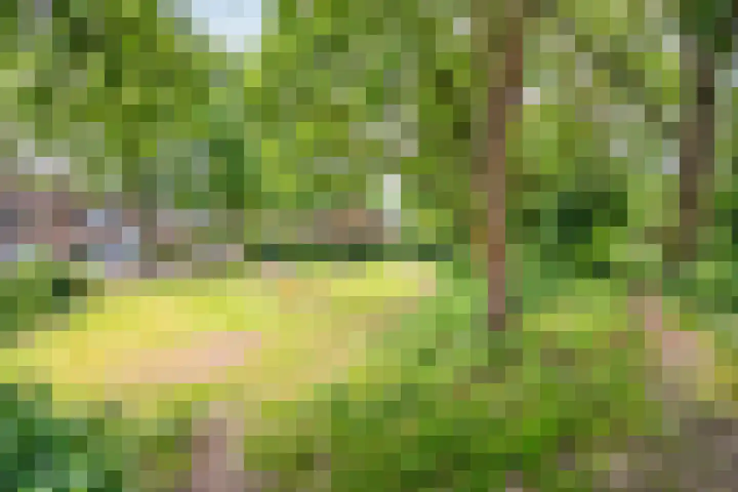 Barisakker 62 Nuenen thumbnail 34